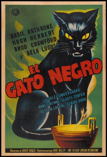 Elgatonegro filmposter - elgatonegro,