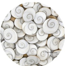 11 Stück GOMTI GOMATI CHAKRA