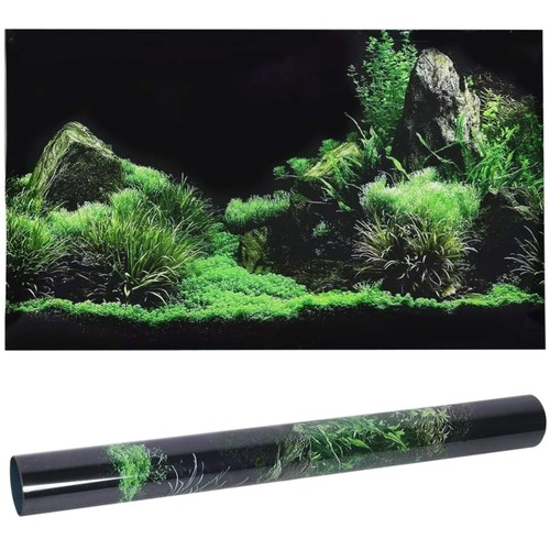 Aquarium poster wasser gras - aquarium,