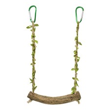 Haustier Vogel Papagei