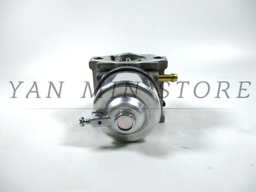 Petrol engine mz300 - engine,