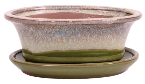 Bonsai schale oval - oval, ×