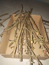 50 Stück Zweige Äste Floristik Basteln Deko Bedarf Garten Holz Schnittmaterial