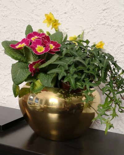 Sks vase umtopf messing - , nr
