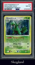 2009 POKEMON D&P GEWALDRO HOLO