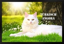 Fußmatte Schmutzfangmatte