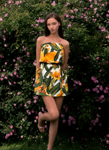 Dolce gabbana ss2012 - &, floral