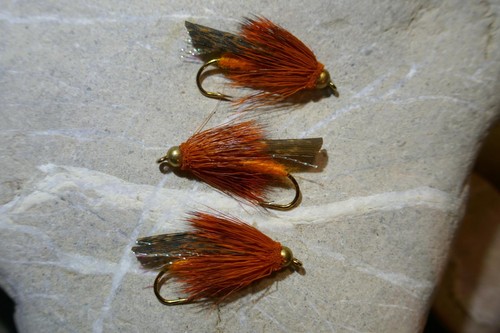 3st goldkopf terminator - 3st.,