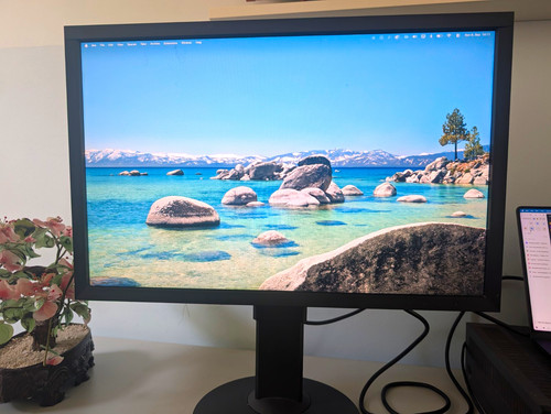 Eizo coloredge cs2420 - cs2420, 24,1"