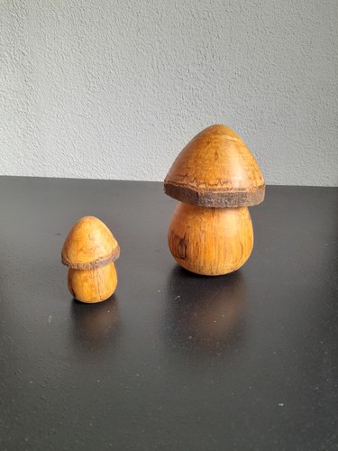 Pilze holzdekor set - pilze,