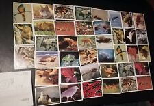 Seltene WWF Sammelsticker: 40 Sticker, Panini, (Konvolut 3)