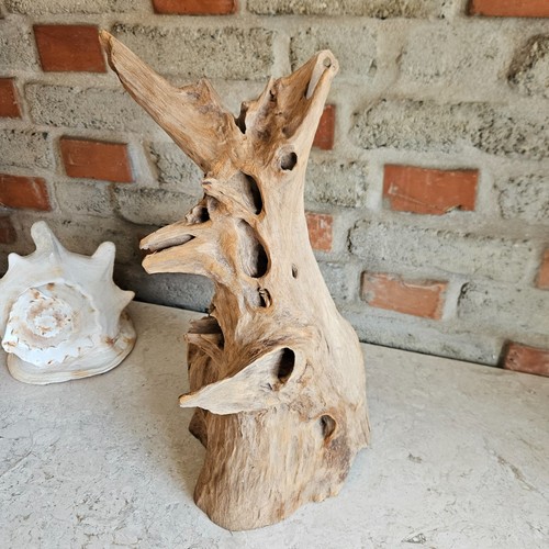 Teak wurzelholz skulptur asia - skulptur,