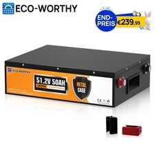 ECO-WORTHY 48V 50AH LiFePO4