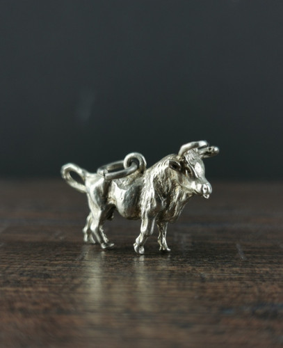 Charms anhänger silber 925 - charms,