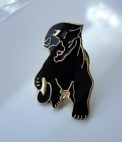 Black panther katze - black,