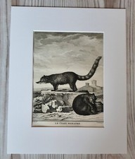 1767 Lithographie Kunstdruck