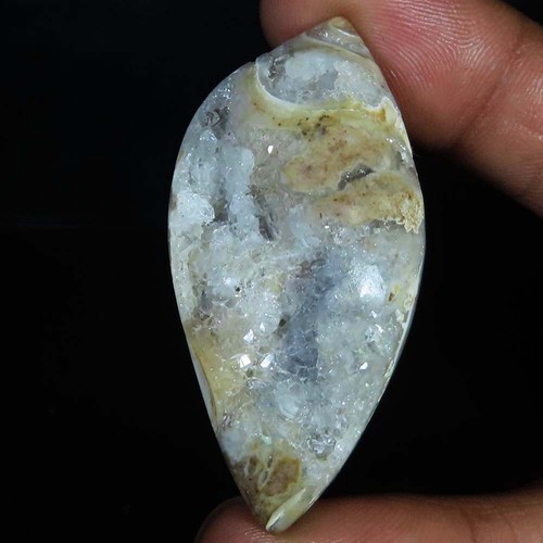 Natürlich fossil schnecke - natürlich,