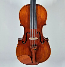 Moderne Geige Modell Firenzi