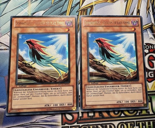 Yugioh schwarzflügel - 2x,