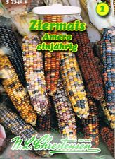 Ziermais Amero  Mischung 'Zea mays japonica' einjährig 573401