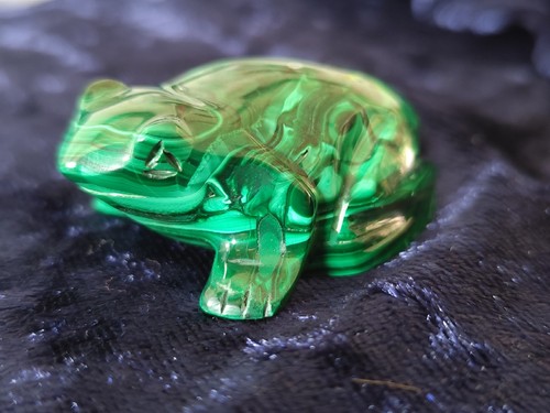 Frosch malachit kröte - frosch,