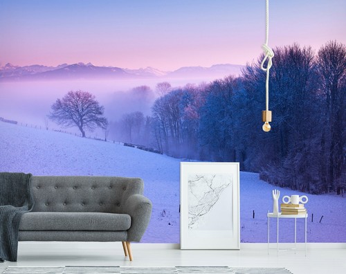 Schnee wald c1118 - schnee,