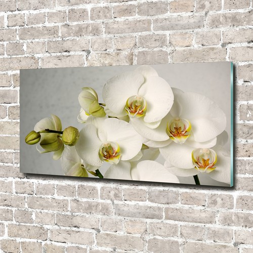 Glas bild wandbilder druck auf - wandbilder,