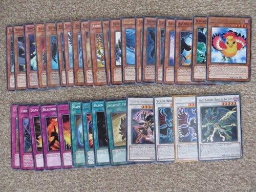 Yugioh schwarzflügel deck - yugioh!,