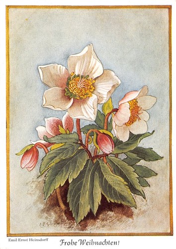 10079 frohe weihnachten - 10079),