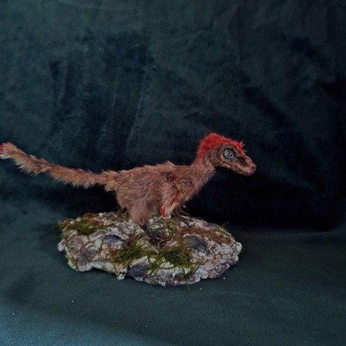 Taxidermie dinosaurier - taxidermie,