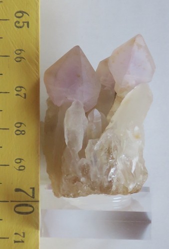 Amethyst szepter auf quarz - auf,