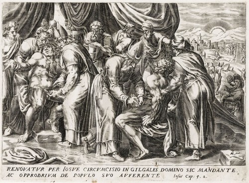 Muller visscher circumcision - muller,