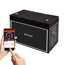 12V 80Ah LiFePO4 Akku BMS +