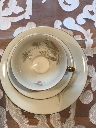 Sammeltasse sammelgedeck - sammeltasse,