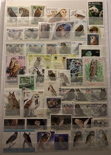 Sammlung eulen auf - eulen, gr