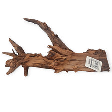 ORBIT Mangrove Medium - ca