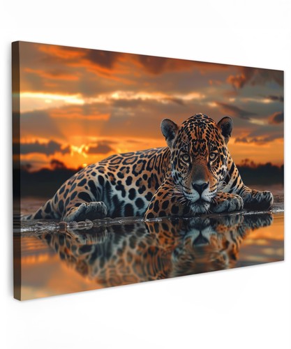 Canvas leinwand bilder - bilder, wand