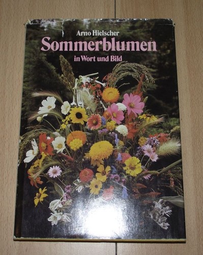 Sommerblumen wort und bild - wort,
