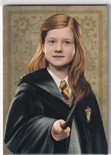 Panini harry potter evolution - panini,