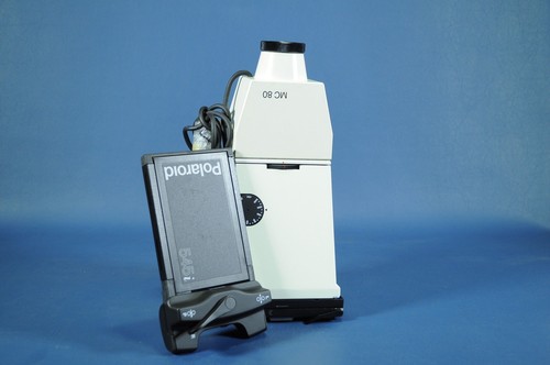 Polaroid scanning - r6,