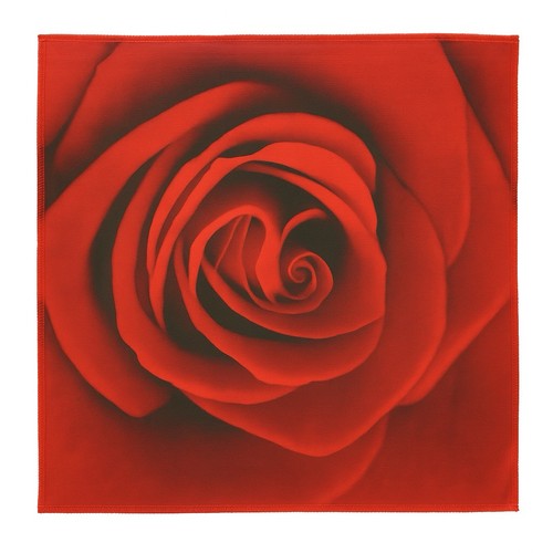 Deko bild rote rose auf - 10,