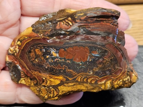 Wow riesig xxl - wow, opal