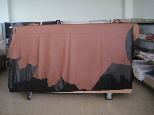 Lederhaut - ,