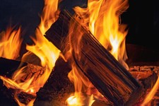 Kaminholz buche ein raummeter - kaminholz,