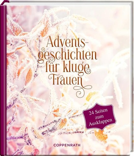 Adventsgeschichten für kluge