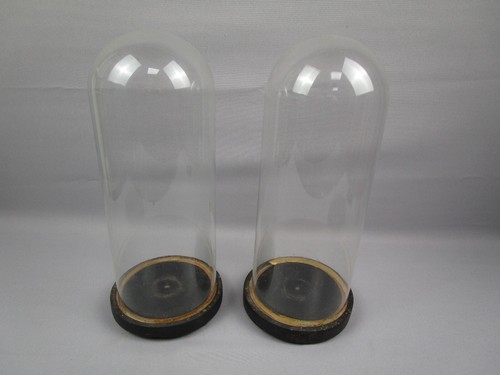 Glasdom stolp mit holzsockel - glasdom,