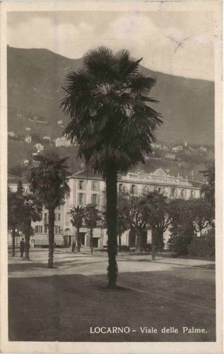 Locarno viale delle palme - -,