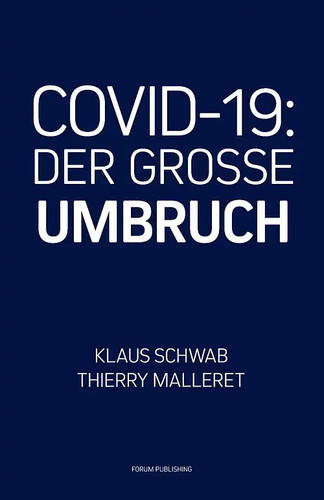 Covid der grosse umbruch - grosse,