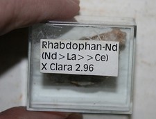 Rhabdophan , Grube Clara 