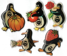 🛒Pin-Konvolut 5 COMPO